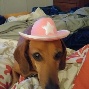 Meet your Posher, Roxanne